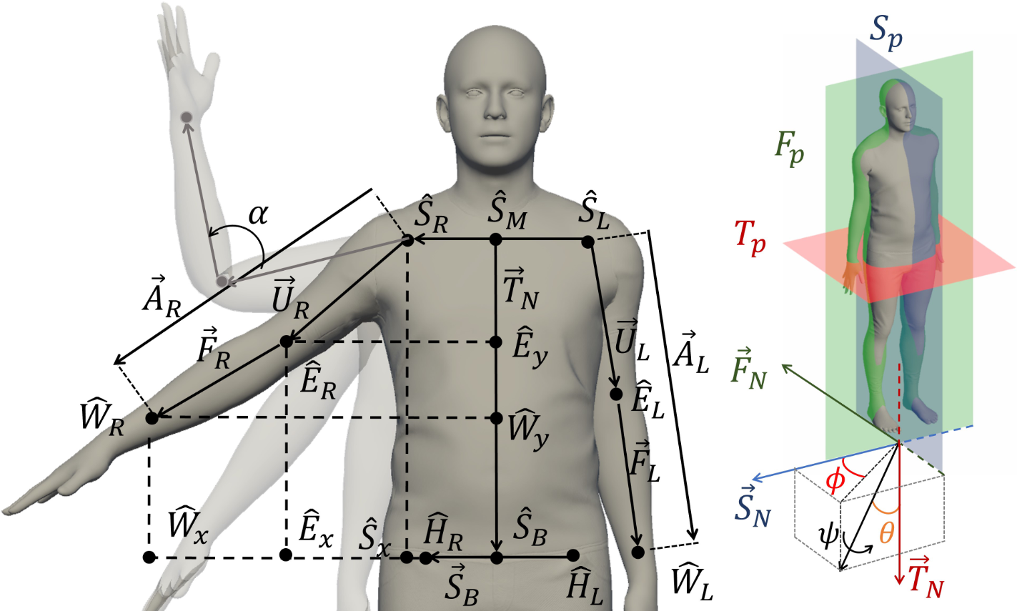 Figure. 2: Joint positions obtained from the MediaPipe and the vectors used to compute the joint angles: \(ˆ·\) and \(~·\) denote points and vectors, respectively.